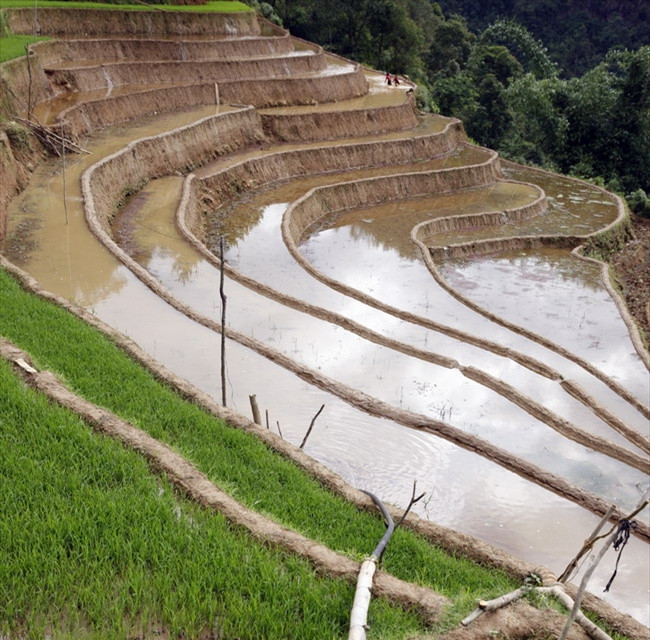 Un rudimento sistema de riego transporta el agua desde la cima hasta los campos. (Fuente: VNA)