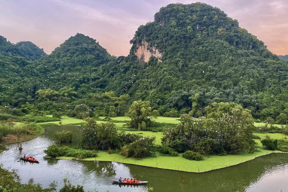 Thung Nham es conocido como el "hogar" ideal de diversas especies de aves residentes en el delta del Norte y de aves migratorias estacionales. (Fuente:VNA)