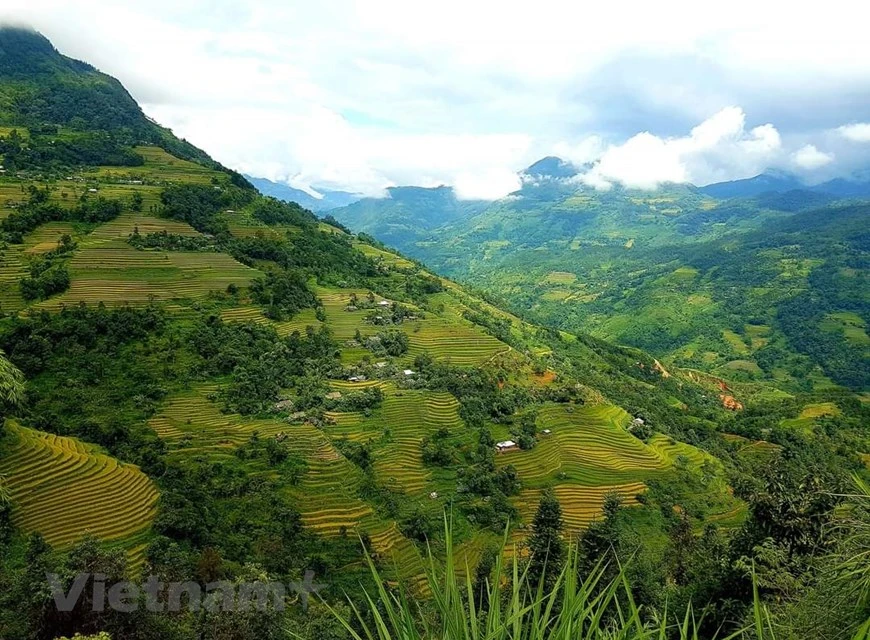 Hoang Su Phi es un distrito montañoso fronterizo, ubicado al oeste de la provincia de Ha Giang. Es un lugar que vale la pena explorar en el noroeste de Vietnam, además de otros destinos turísticos conocidos en esa región como Y Ty, Sa Pa o Mu Cang Chai. A 320 kilómetros al norte de Hanoi y con 300 años de antigüedad, sus terrazas son una atracción turística tanto para viajeros nacionales como extranjeros. Posee majestuosas montañas rocosas y coloridas terrazas de arroz, extendidas en vastos valles, el distrito de Hoang Su Phi, en la provincia de Ha Giang, se convirtió en un imán turístico en la región del norte del país indochino. (Foto: Vietnam+)