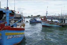 En el puerto pesquero de Quy Nhon (Foto. VNA)