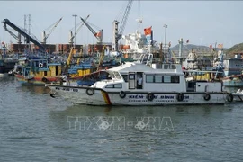 Las autoridades funcionales inspeccionan el puerto pesquero de Quy Nhon (Foto. VNA)