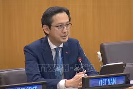 El embajador Do Hung Viet, jefe de la Misión Permanente de Vietnam ante la ONU y presidente designado de la Conferencia de Examen del TNP (Foto: VNA)