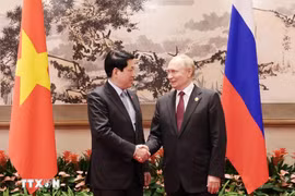 Presidente de Vietnam se reúne con Vladimir Putin en China