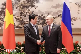 Presidente de Vietnam se reúne con Vladimir Putin en China