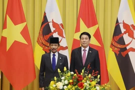 El presidente de Vietnam, Luong Cuong (derecha), se reúne con el sultán de Brunéi, Haji Hassanal Bolkiah (Foto: VNA)