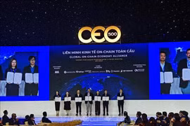 La Alianza Global de Economía en Cadena debuta el 25 de noviembre. (Foto: VNA)