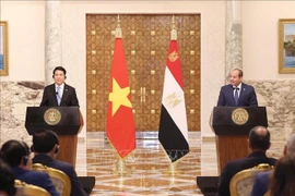El presidente de Vietnam, Luong Cuong, y su homólogo egipcio Abdel Fattah El-Sisi, se reúnen con la prensa (Foto: VNA)