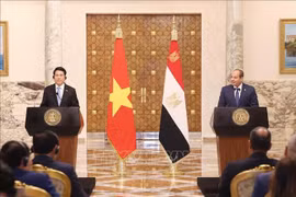 El presidente de Vietnam, Luong Cuong, y su homólogo egipcio Abdel Fattah El-Sisi, se reúnen con la prensa (Foto: VNA)