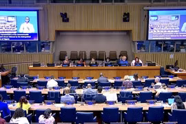 Panorama de la sesión (Foto: VNA)