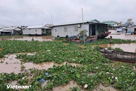 Vietnam está tomando medidas sustanciales y medibles para abordar la contaminación por plástico. (Foto: VietnamPlus)