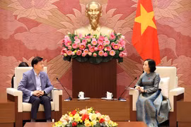 La vicepresidenta de la Asamblea Nacional de Vietnam, Nguyen Thi Thanh, recibe Kim Hak-Min, presidente del Consejo Asesor de Ética del Parlamento surcoreano (Foto: VNA)