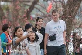 El número de turistas extranjeros que visitaron Vietnam durante las festividades del Año Nuevo Lunar 2025 reportó un aumento interanual del 30% (Foto: VNA)