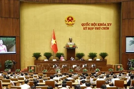 Panorama de la cita (Foto: VNA)
