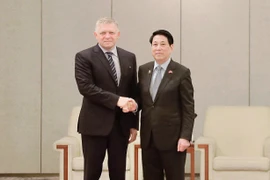 El presidente de Vietnam, Luong Cuong (derecha), se reúne con el primer ministro de Eslovaquia, Robert Fico (Foto: VNA)