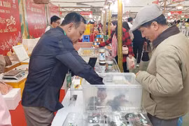 Un cliente visita el stand de productos agrícolas (Foto: VNA)