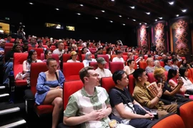 El festival atrae a un público amplio de todas las edades (Foto: VNA)
