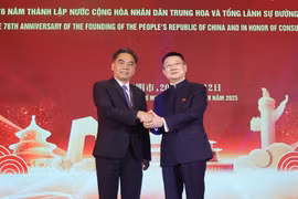 Ciudad Ho Chi Minh otorga gran importancia al fortalecimiento de las relaciones amistosas con las localidades chinas (Foto: daidoanket.vn)