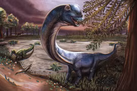 Ilustración del dinosaurio Nagatitan chaiyaphumensis, que vivió durante el período Cretácico, con fósiles desenterrados en Tailandia. (Foto: Reuters)