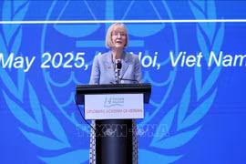 La embajadora de Australia en Vietnam, Gillian Bird (Foto: VNA)