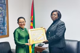 Tran Thi Thu Thin, embajadora de Vietnam en Mozambique, y la primera ministra de la nación africana, Maria Benvinda Delfina Levi (Foto: VNA)
