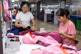 Prendas de vestir para exportación al mercado europeo de la empresa TNG, provincia de Thai Nguyen (Foto: VNA)
