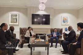 Panorama de la cita (Foto: VNA)