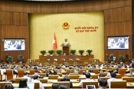 Panorama de la sesión (Foto: VNA)