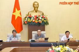 El presidente de la Asamblea Nacional de Vietnam, Tran Thanh Man, interviene en la reunión (Foto: VNA)