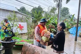 Funcionarios y voluntarios de la Cruz Roja brindan ayuda a las personas afectadas por las inundaciones en la ciudad de Hue. (Foto: VNA)
