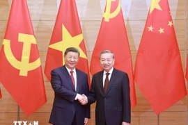 El secretario general del Partido Comunista de Vietnam, To Lam (derecha), se reúne con el secretario general del Partido Comunista de China y presidente de ese país, Xi Jinping (Foto: VNA)