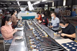 El cuero y el calzado son una de las principales industrias de exportación de Vietnam. (Foto: VNA)