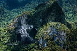 Phong Nha-Ke Bang, un tesoro biológico en la cordillera de Truong Son. (Foto: VNA)