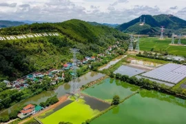 En septiembre de 2024, se finalizó el circuito 3 de la línea de transmisión de ultra alto voltaje de 500 KV Quang Trach - Pho Noi, lo que coadyuva a garantizar un suministro de energía estable para el norte y promover el desarrollo económico regional. (Foto: VNA)