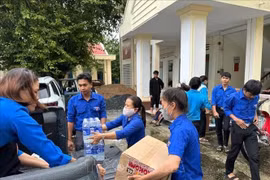 Comunidad internacional dona casi 16 millones de dólares para la recuperación de Vietnam tras desastres naturales