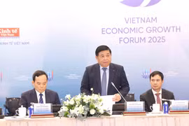 El viceprimer ministro vietnamita Nguyen Chi Dung interviene en la cita (Foto: VNA