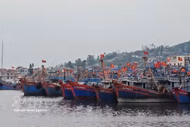 Una vista del puerto pesquero de Lach Bang, Thanh Hoa. (Foto: VNA)