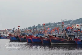 Una vista del puerto pesquero de Lach Bang, Thanh Hoa. (Foto: VNA)