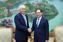 El viceprimer ministro y canciller de Vietnam, Bui Thanh Son (derecha), recibe a Gerardo Peñalver Portal, viceministro primero de Relaciones Exteriores de Cuba (Foto: VNA)
