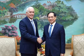 El viceprimer ministro y canciller de Vietnam, Bui Thanh Son (derecha), recibe a Gerardo Peñalver Portal, viceministro primero de Relaciones Exteriores de Cuba (Foto: VNA)