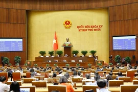 Panorama de la cita (Foto: VNA)