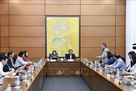 Panorama de la cita (Foto: VNA)