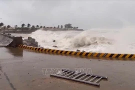 Olas de gran altura en la isla de Ly Son, provincia de Quang Ngai, debido al tifón Kalmaegi. (Foto: VNA)