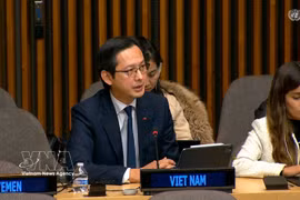El embajador Do Hung Viet, jefe de la misión de Vietnam ante la ONU, interviene en la cita. (Foto: VNA)