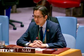 El embajador Do Hung Viet, representante permanente de Vietnam ante la ONU, en el evento (Foto: VNA)