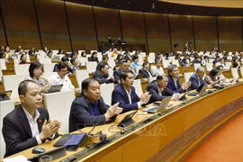 Diputados en la sesión (Foto: VNA)