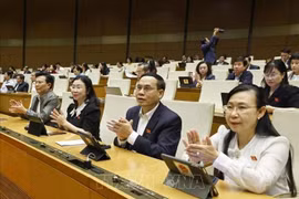 Diputados participantes en la cita (Foto: VNA)