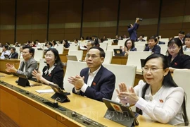 Diputados participantes en la cita (Foto: VNA)