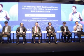 Expertos debaten el potencial para la cooperación comercial y la transformación digital en el foro (Foto: VNA)