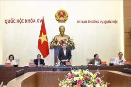 El presidente de la Asamblea Nacional de Vietnam, Tran Thanh Man, interviene en la cita (Foto: VNA)