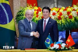 Vietnam y Brasil miran a futura cooperación 